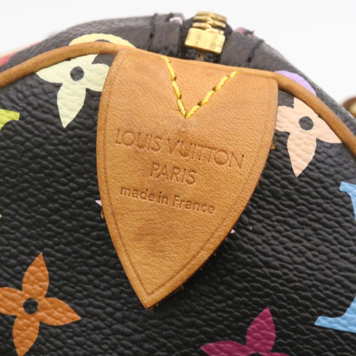 LOUIS VUITTON Multicolor Speedy 30 Hand Bag M92642 LV  28793A