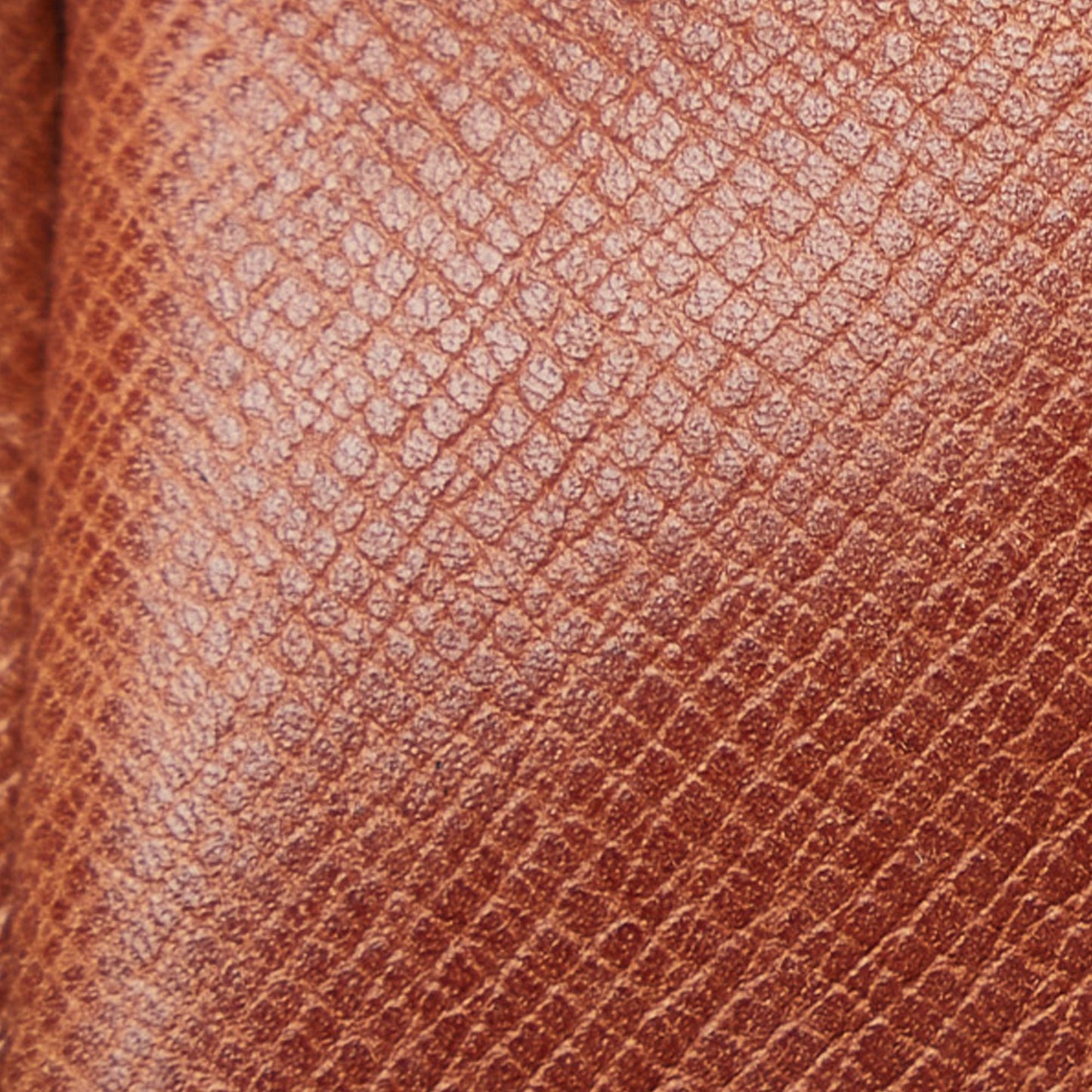 Louis Vuitton Danube Mini Monogram Canvas