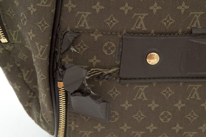 Louis Vuitton Green Monogram Luggage