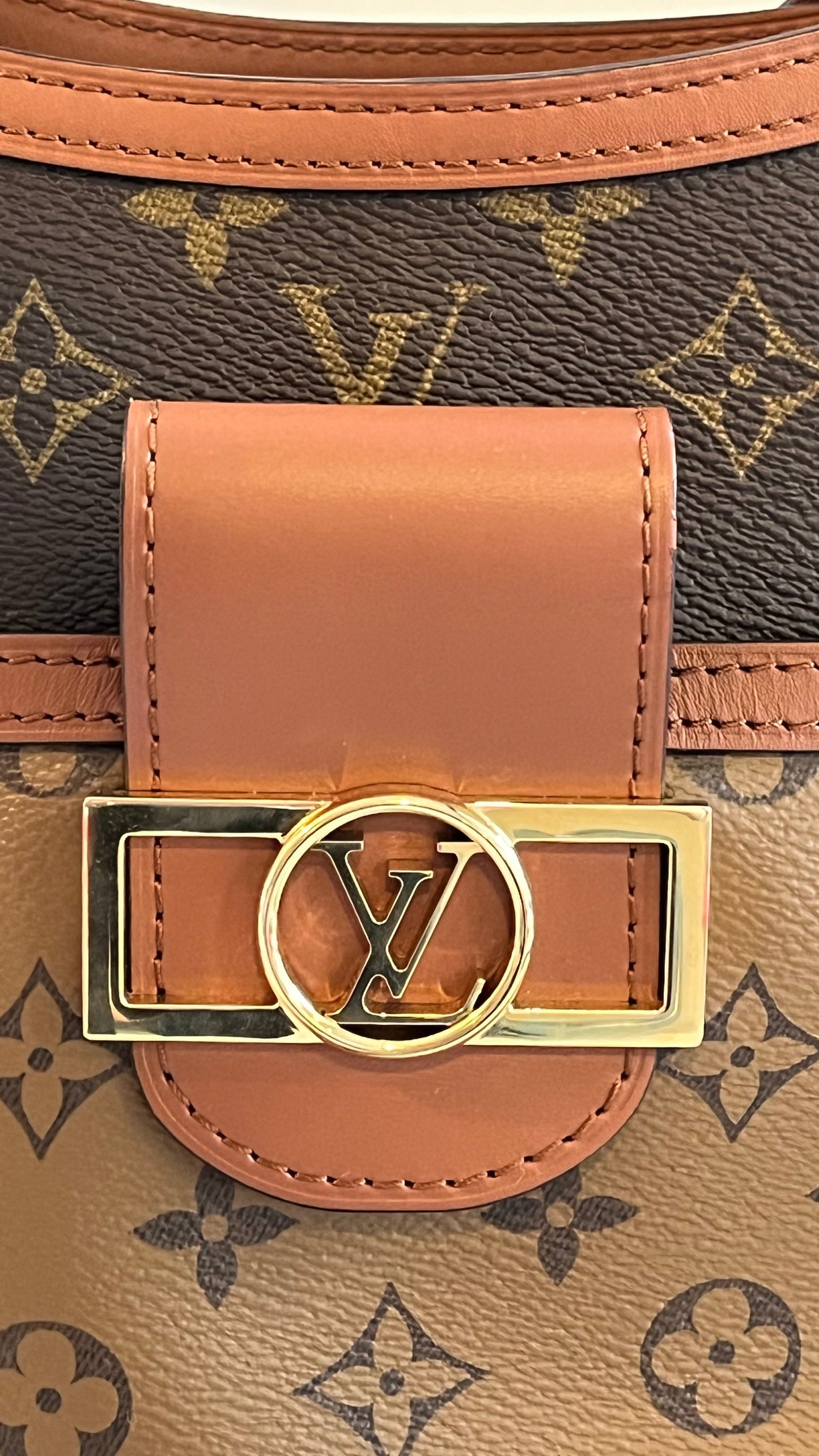 Louis Vuitton Dauphine Hobo PM Reverse Monogram