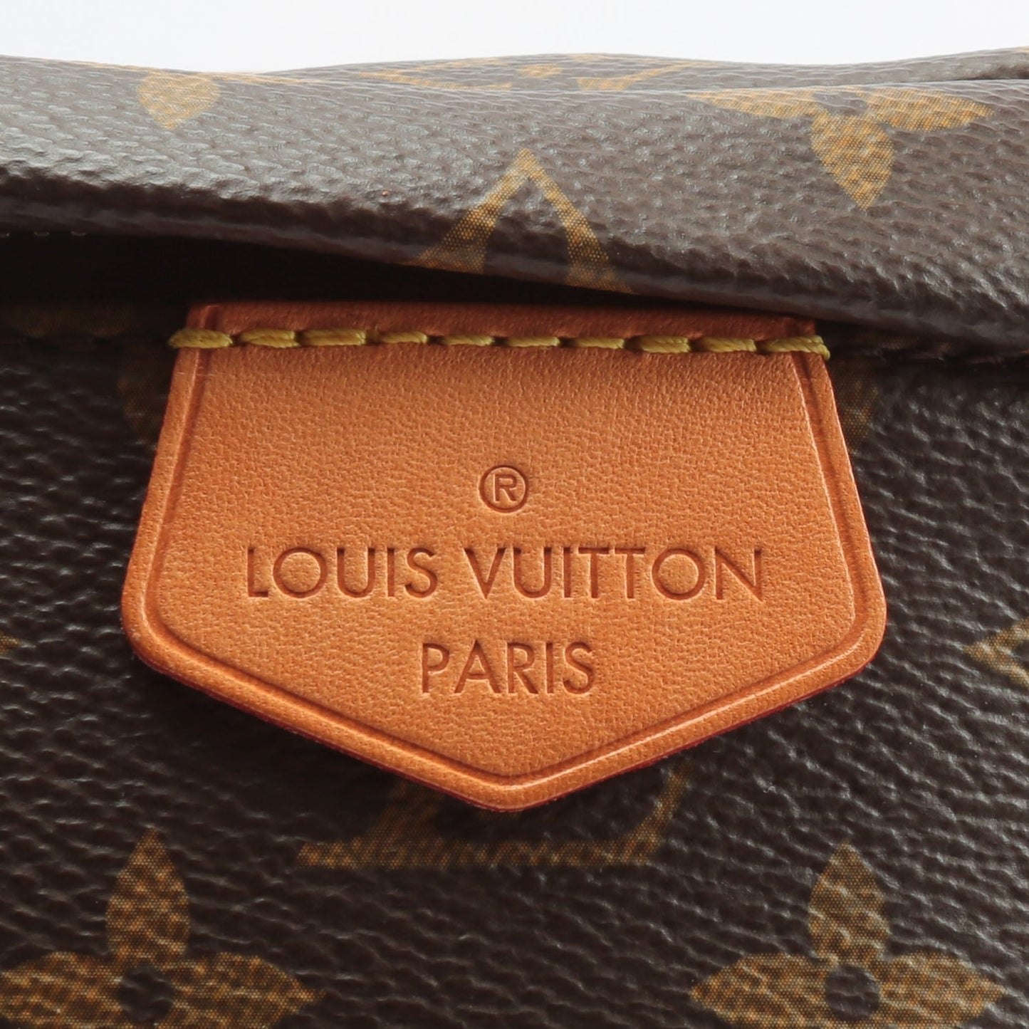 LOUIS VUITTON Bumbag Monogram