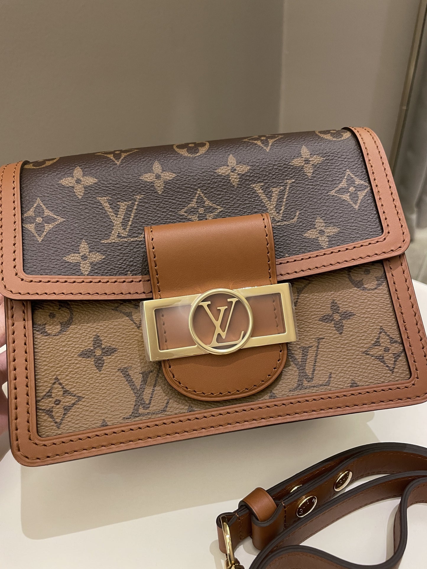 Louis Vuitton Dauphine Mini Reverse Monogram