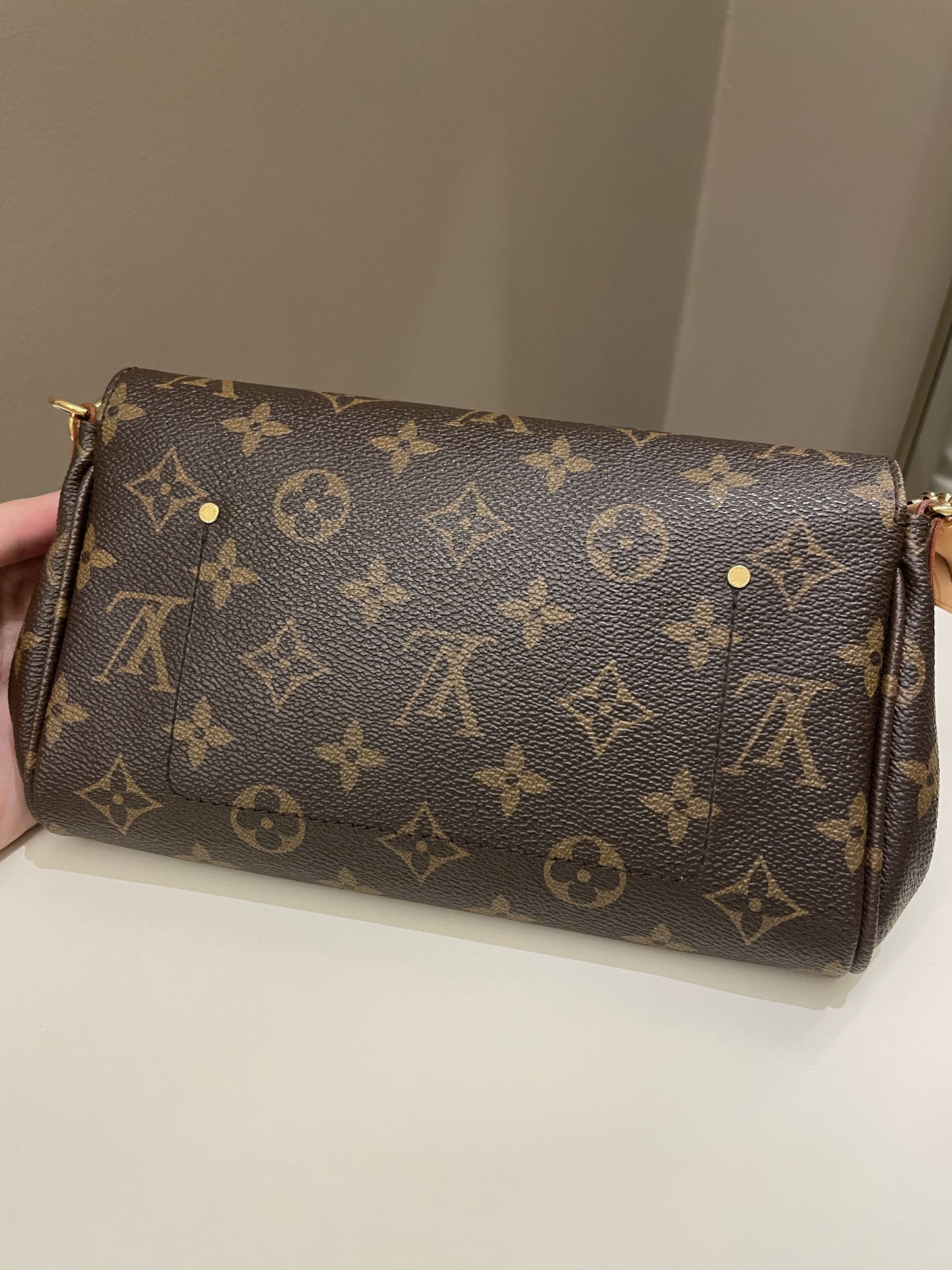 Louis Vuitton Favorite MM Classic Monogram