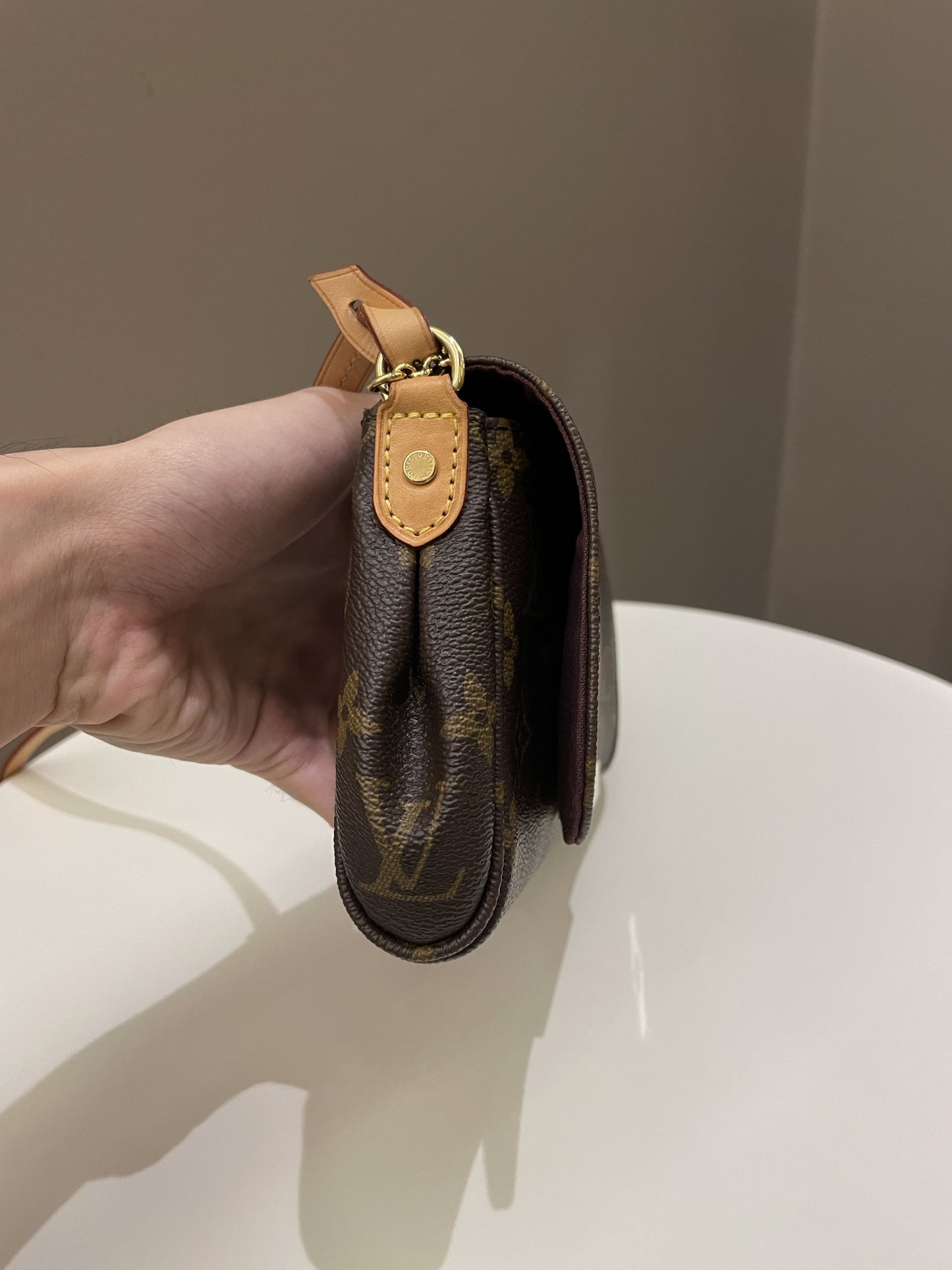 Louis Vuitton Favorite MM Classic Monogram