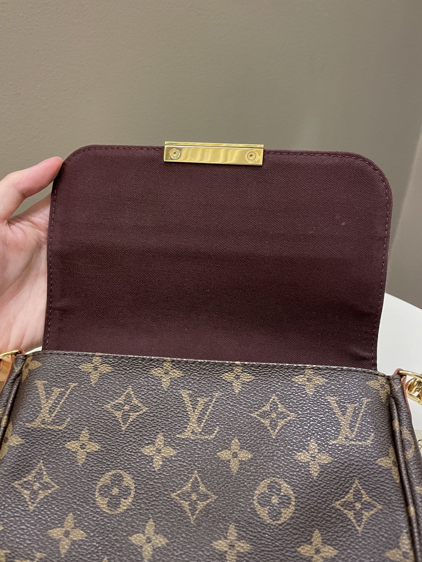 Louis Vuitton Favorite MM Classic Monogram