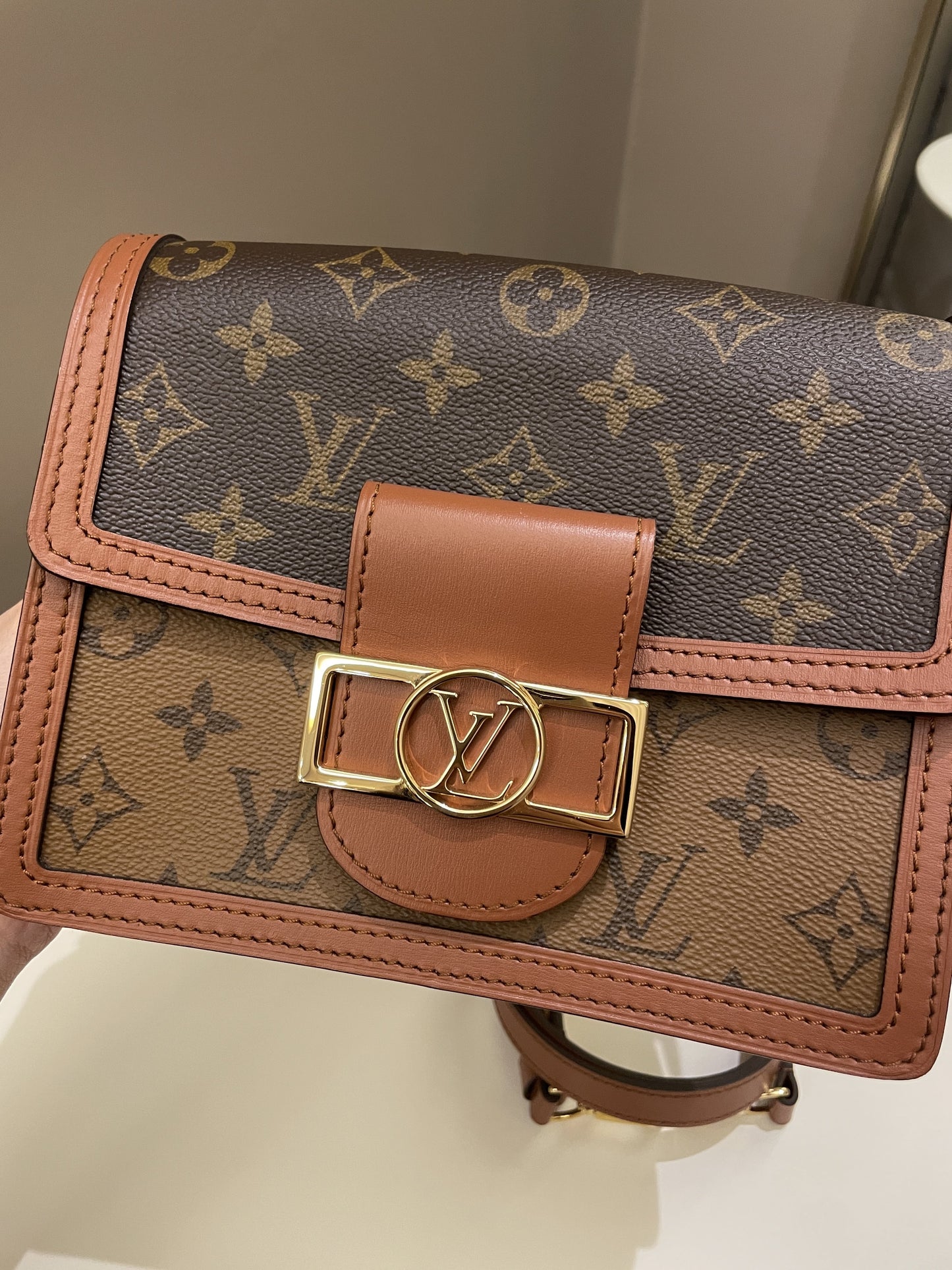 Louis Vuitton Dauphine Mini Reverse Monogram