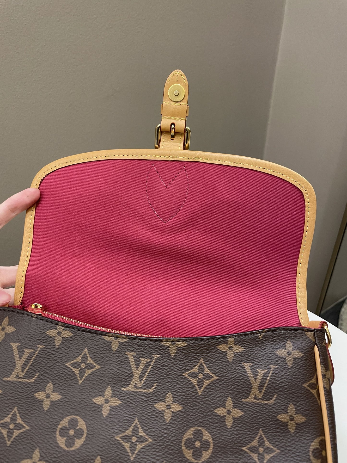 Louis Vuitton Diane PM Monogram / Fuchsia