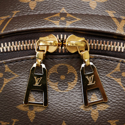 LOUIS VUITTON Monogram Palm Springs MM Backpack