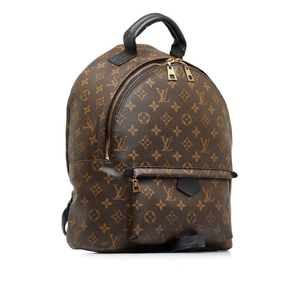 LOUIS VUITTON Monogram Palm Springs MM Backpack