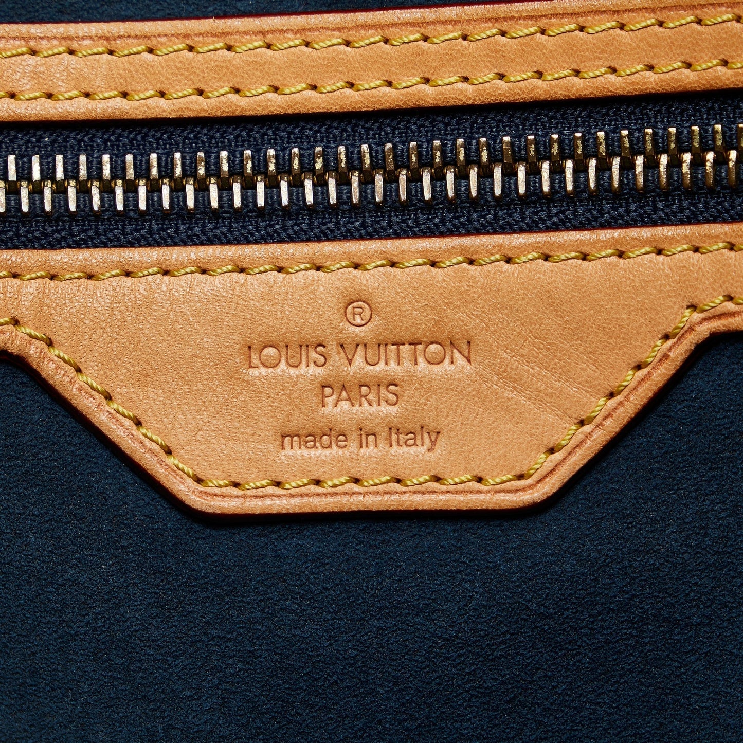 LOUIS VUITTON Monogram Denim Daily GM Hobo Bag