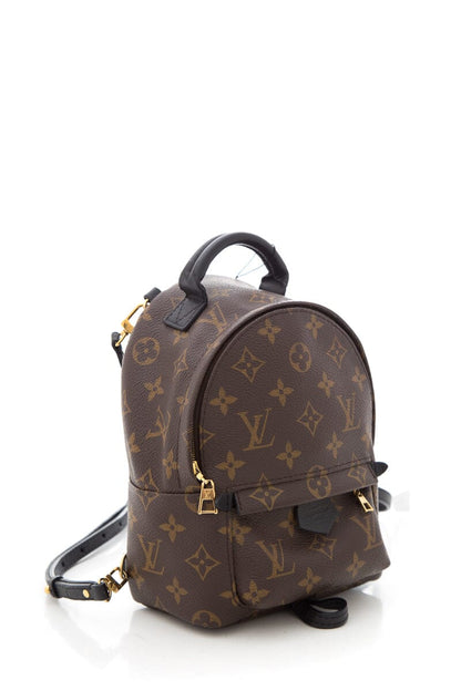 Louis Vuitton Brown Monogram Palm Springs Mini Backpack