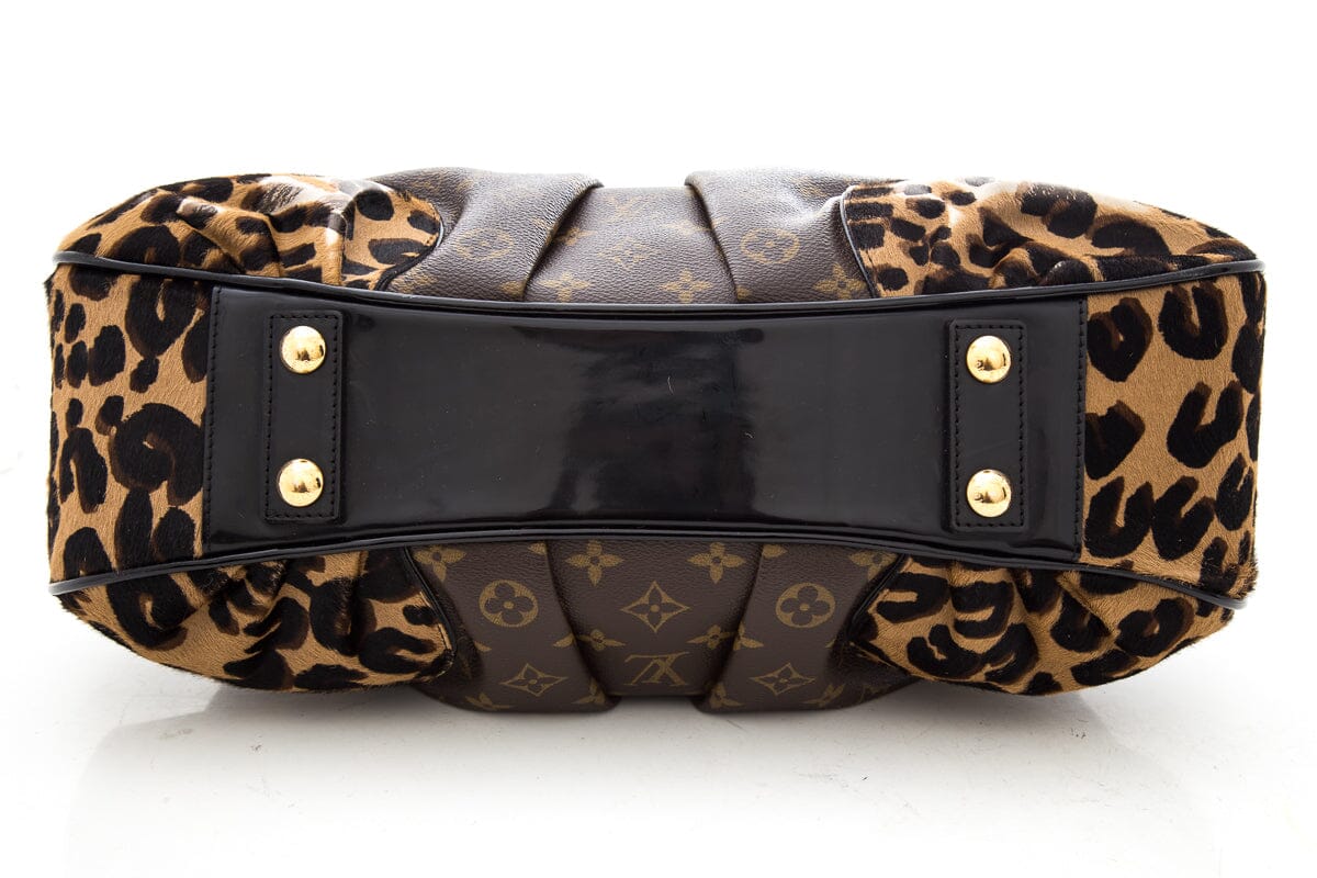 Louis Vuitton Brown Monogram Leopard Polly Handbag