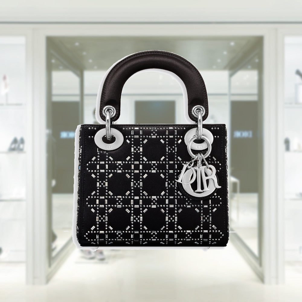 MINI LADY DIOR BAG