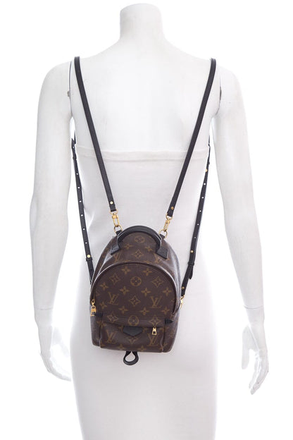 Louis Vuitton Brown Monogram Palm Springs Mini Backpack