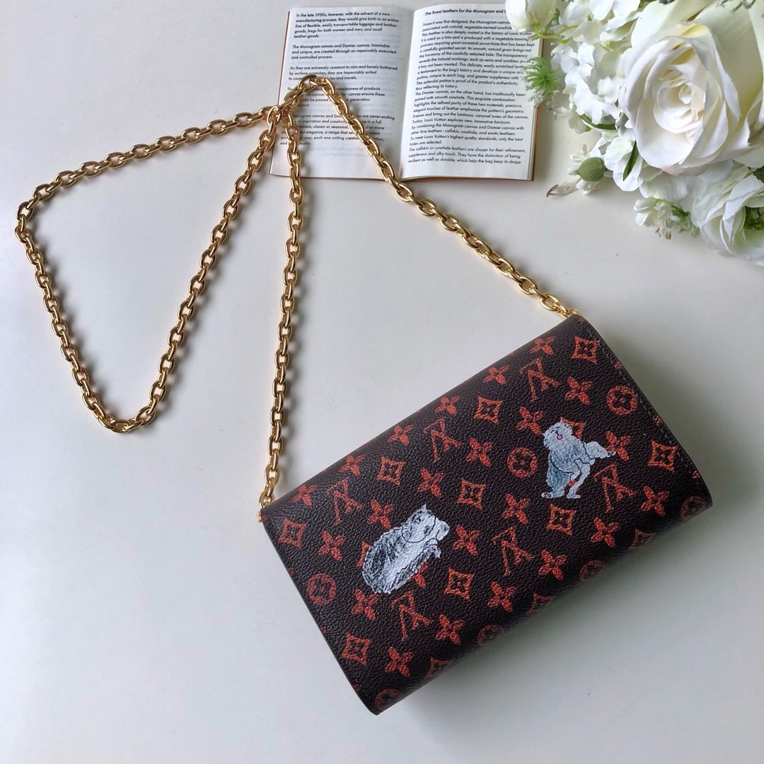 Louis Vuitton Wallet