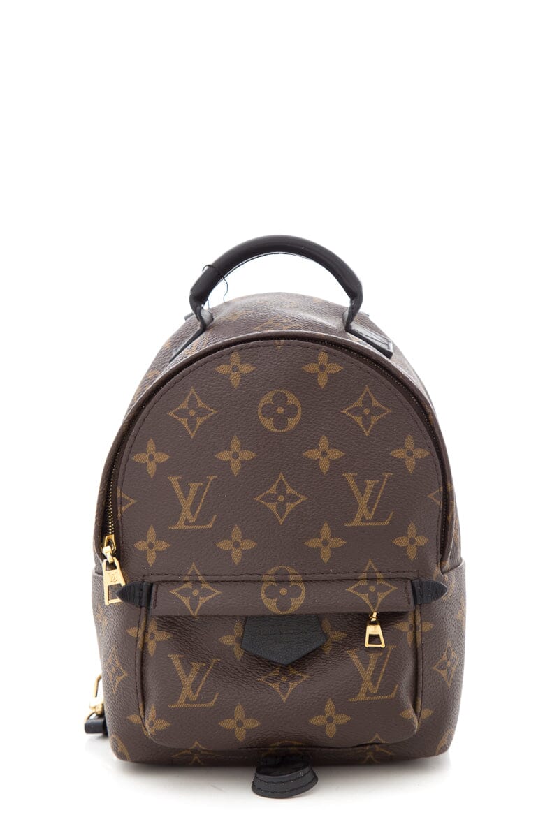 Louis Vuitton Brown Monogram Palm Springs Mini Backpack