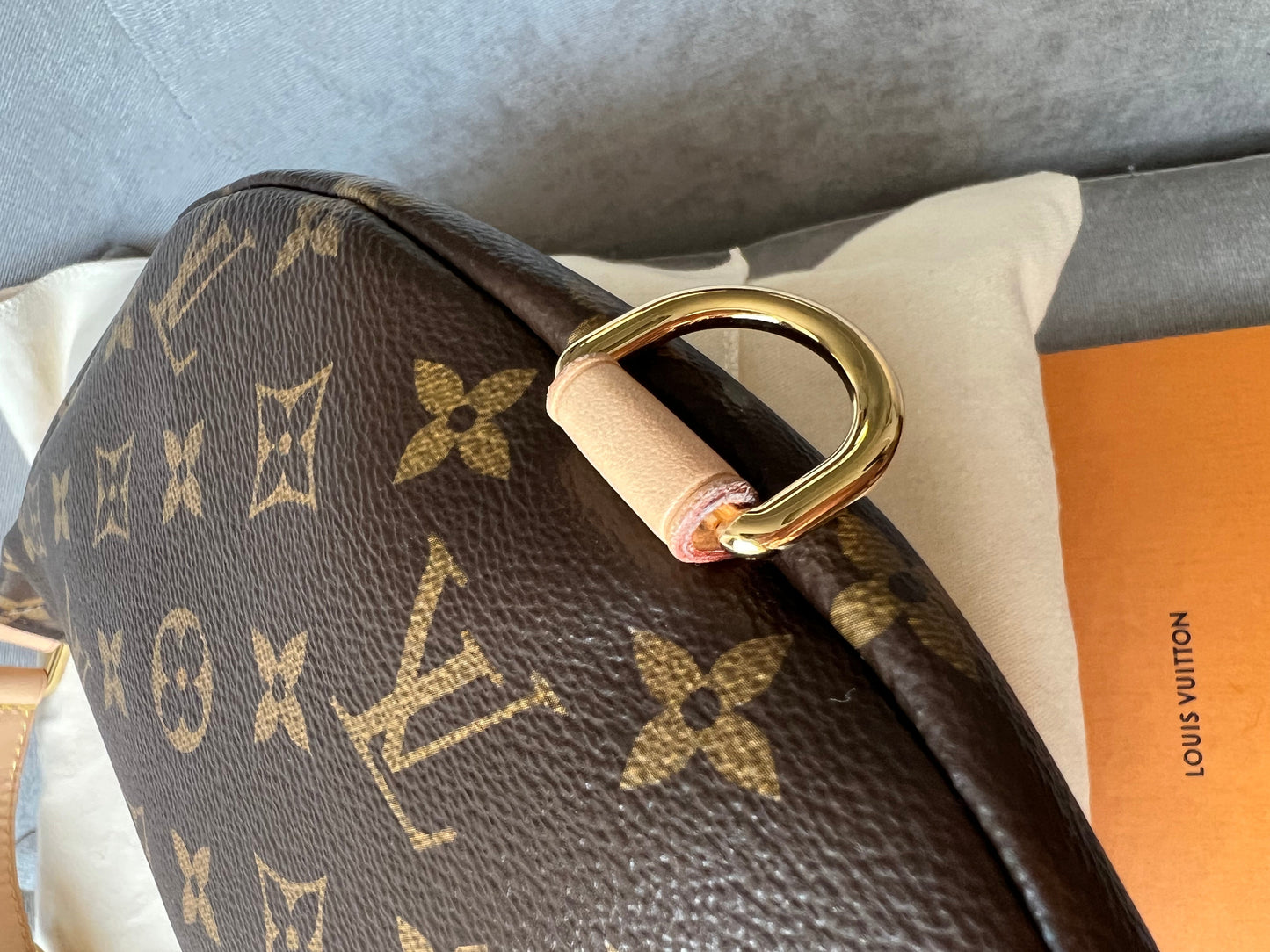 Louis Vuitton Bumbag in Monogram Canvas