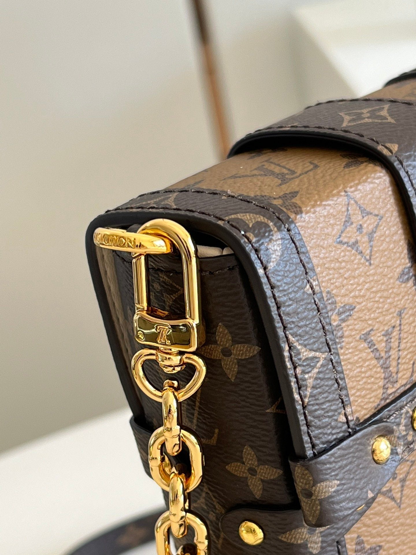 Louis Vuitton Vertical Trunk Pochette Bag