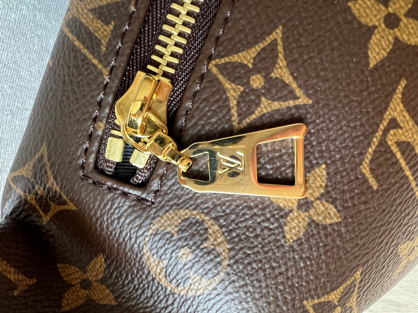 Louis Vuitton Bumbag in Monogram Canvas