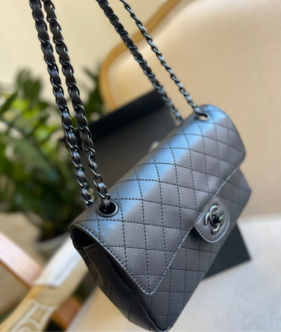 New Chanel woman Handbag