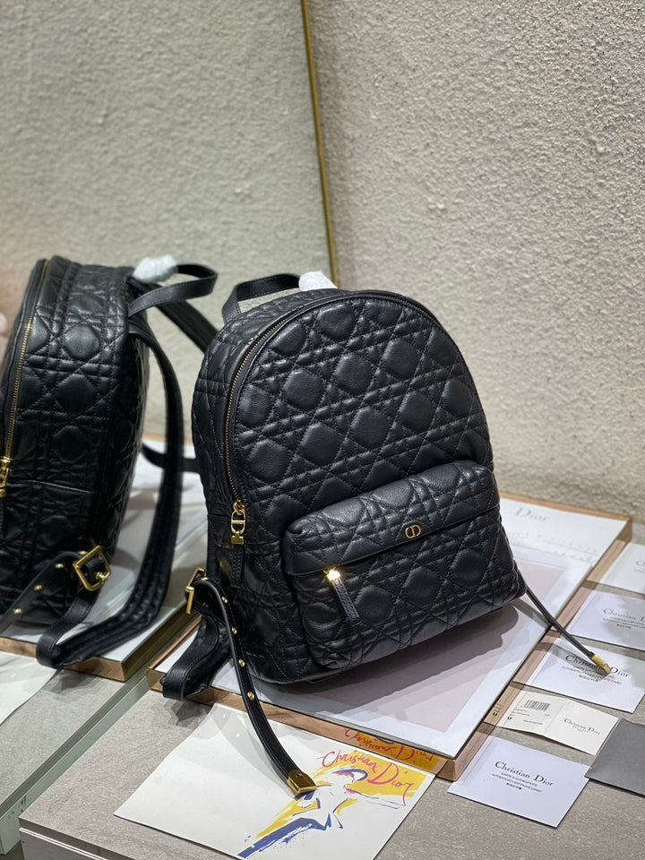 Christian Dior   Backpack