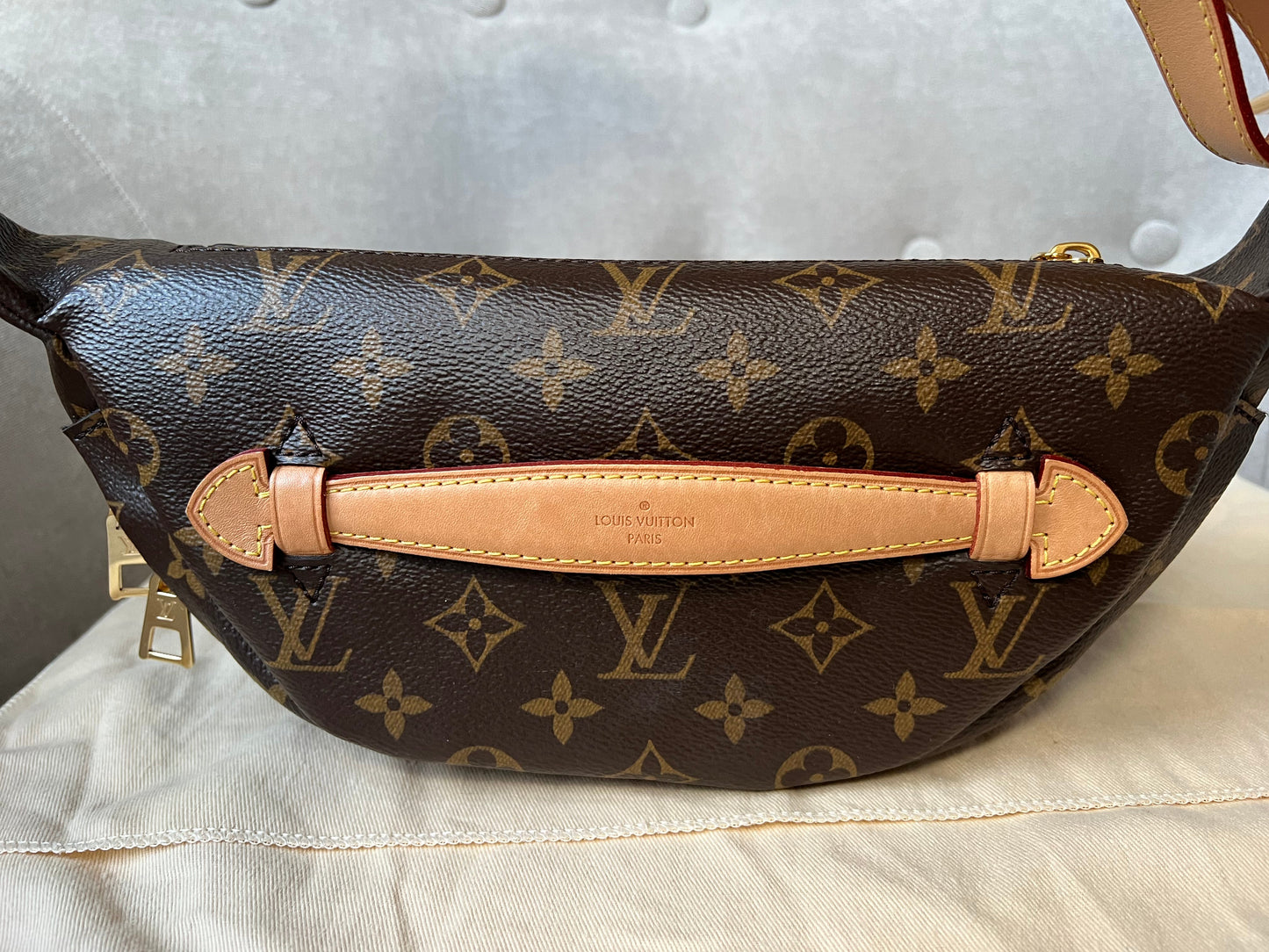 Louis Vuitton Bumbag in Monogram Canvas