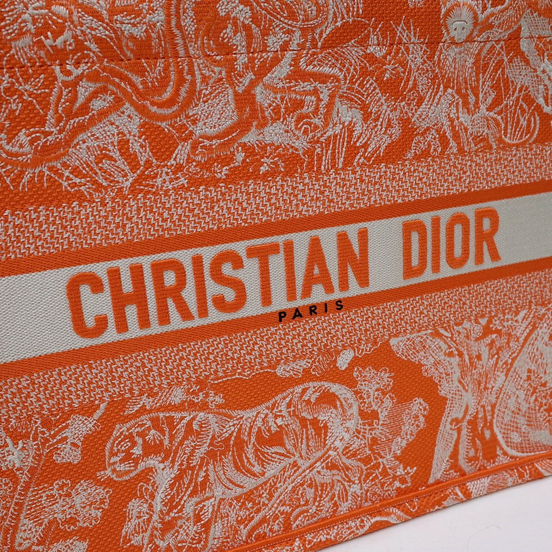 Christian Dior Book Tote Bag