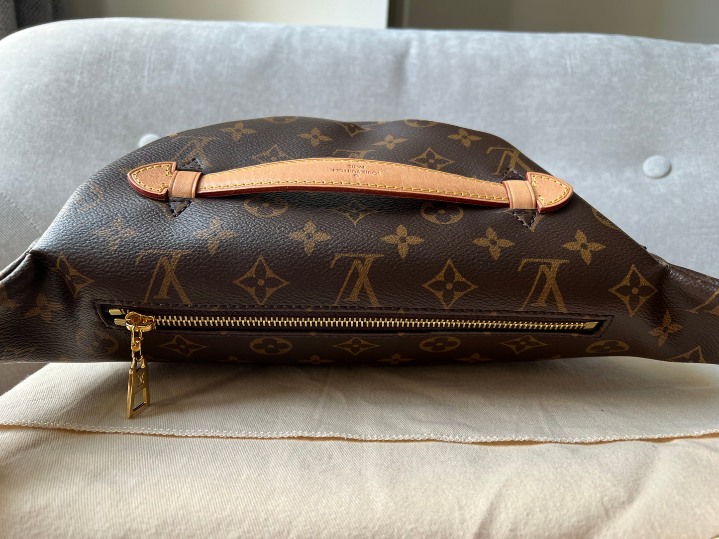 Louis Vuitton Bumbag in Monogram Canvas