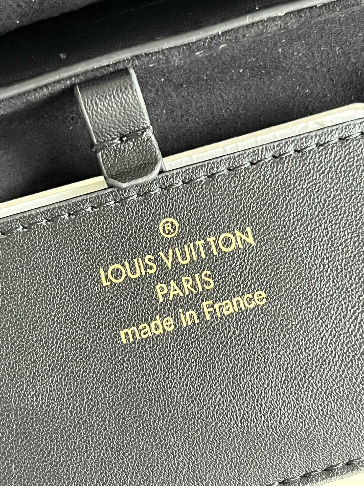 Louis Vuitton Twist MM Bag