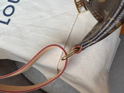 Louis Vuitton Bumbag in Monogram Canvas