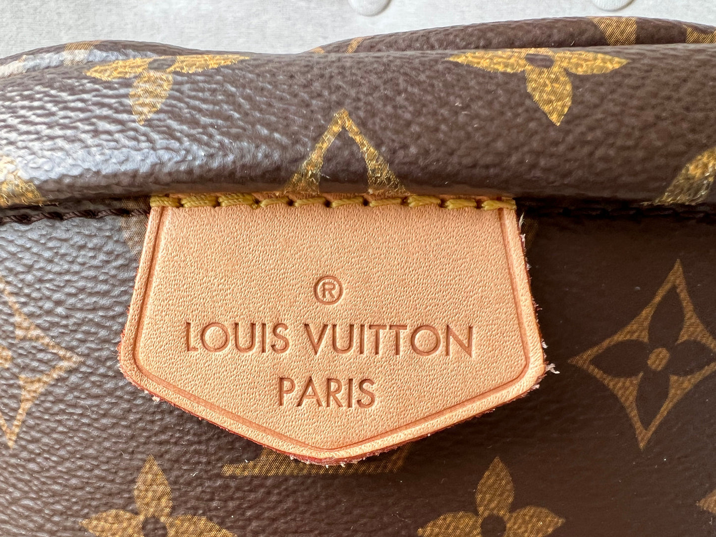 Louis Vuitton Bumbag in Monogram Canvas