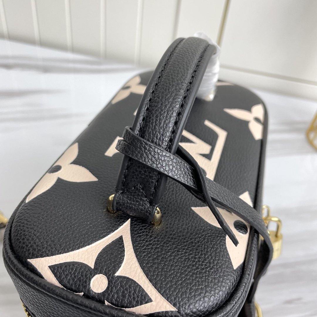 Louis Vuitton Vanity PM Bag