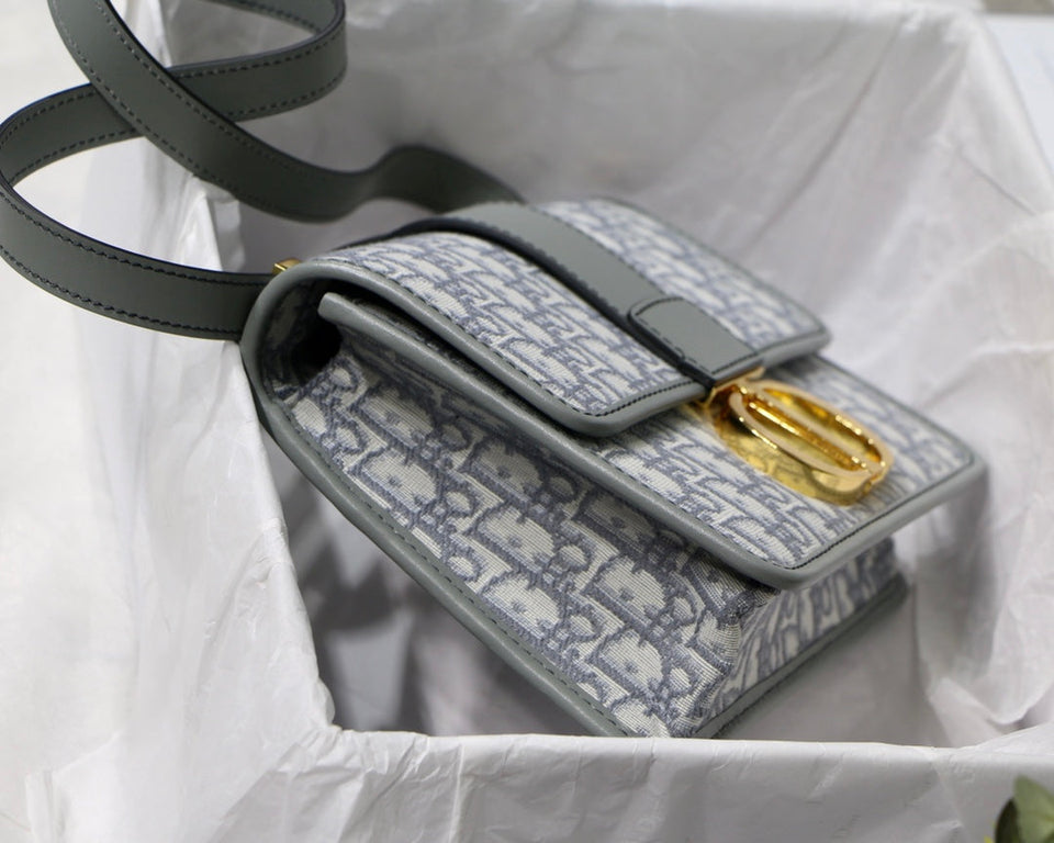 Christian Dior 30 Montaigne Bag