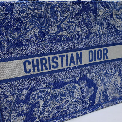 Christian Dior Book Tote Bag