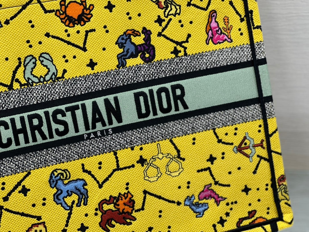 Christian Dior Book Tote Bag