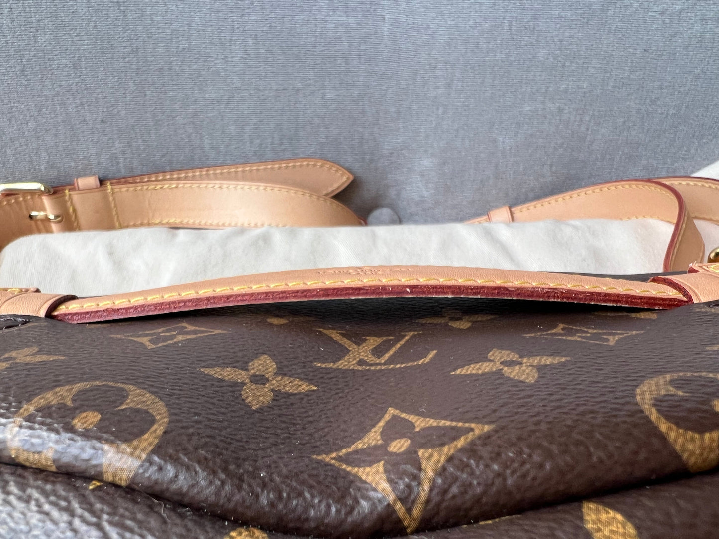 Louis Vuitton Bumbag in Monogram Canvas