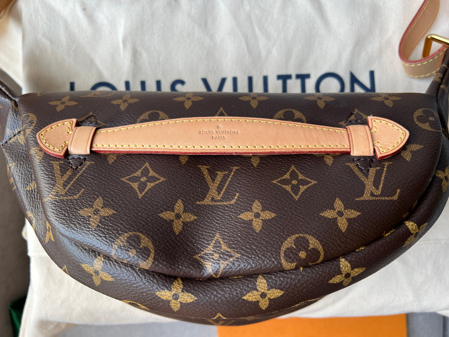 Louis Vuitton Bumbag in Monogram Canvas