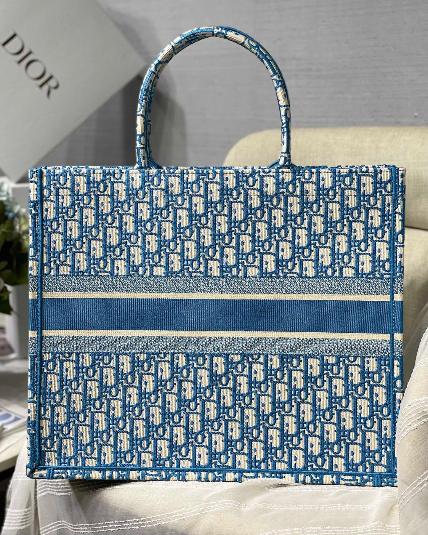 Christian Dior Book Tote Bag