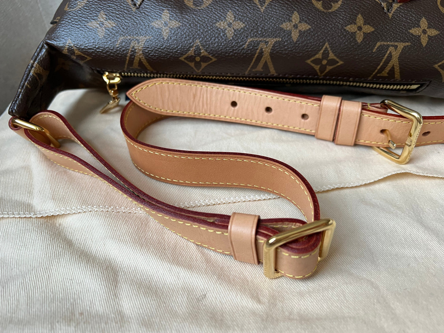 Louis Vuitton Bumbag in Monogram Canvas