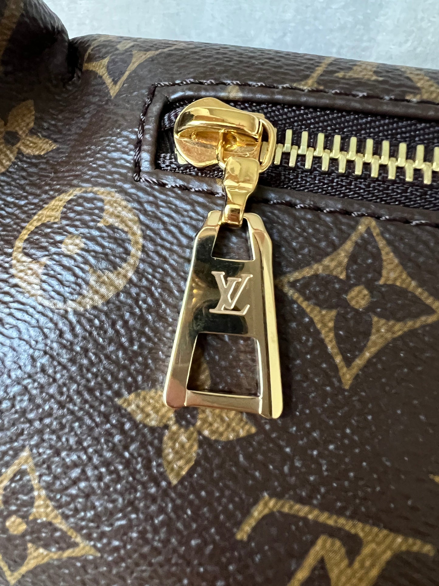 Louis Vuitton Bumbag in Monogram Canvas