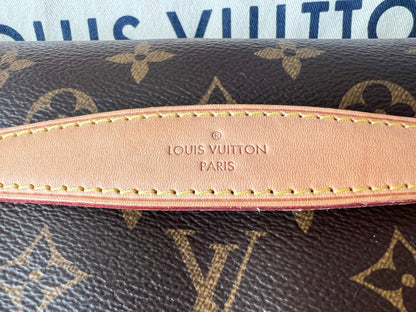 Louis Vuitton Bumbag in Monogram Canvas