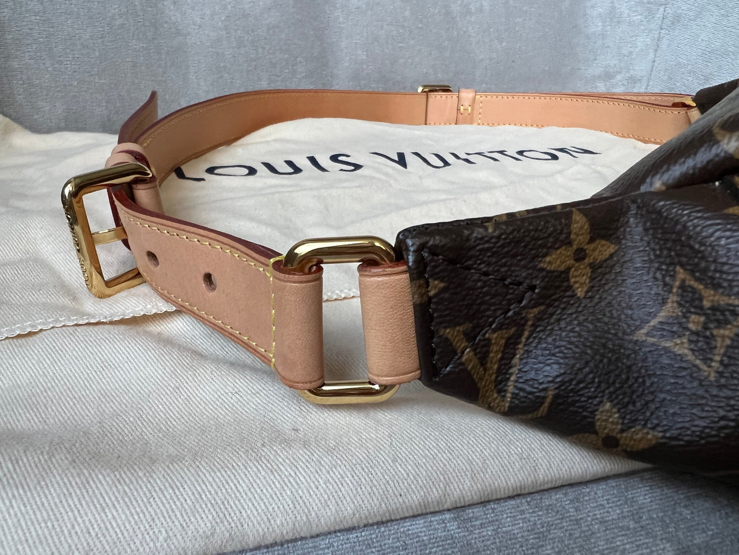 Louis Vuitton Bumbag in Monogram Canvas