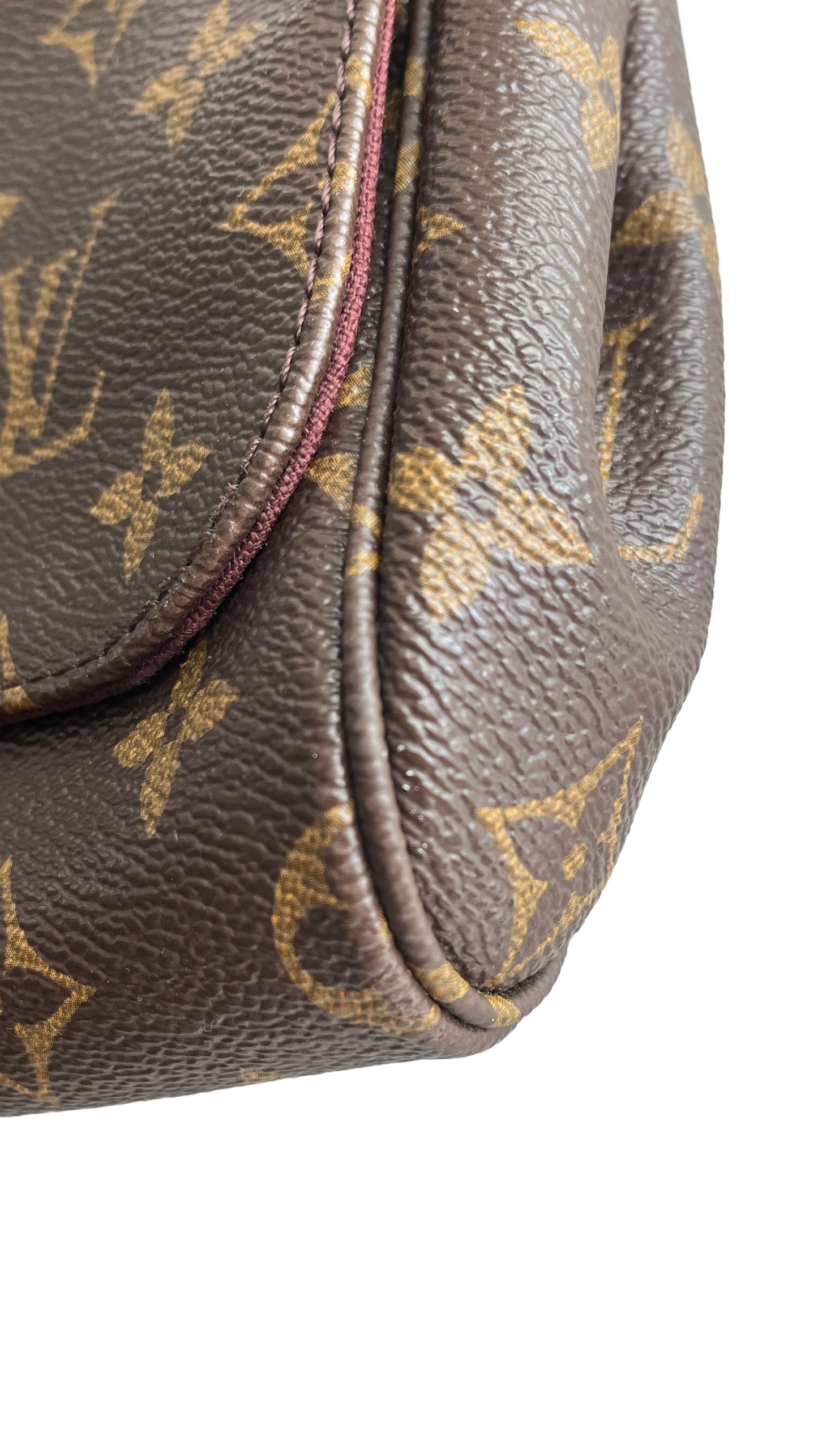 Louis Vuitton Favourite MM, Monogram Canvas